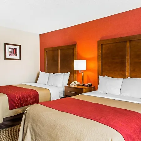 Comfort Inn Boston-2